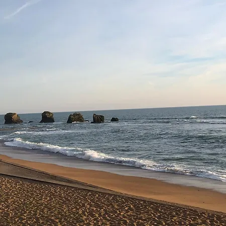 Marine * Saint-Hilaire-de-Riez
