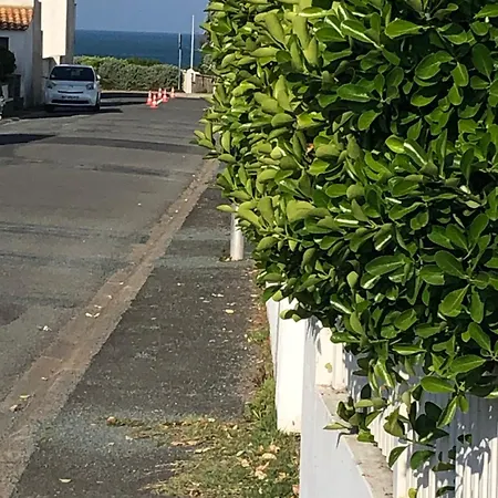 Marine Saint-Hilaire-de-Riez